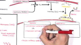 Pulmonary Embolism PART II [upl. by Pernell597]