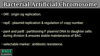 Bacterial Artificial Chromosome  BACs  BAC Vector [upl. by Recha]