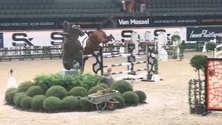 EQS Gwinnru  8y Andiamo Semilly  double clear 8y finals Lier [upl. by Elyn]