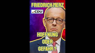 Friedrich Merz Der richtige Kanzler für Deutschland oder ein Mann der Konzerne [upl. by Sheley311]