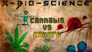 Cannabis Vs Cancro [upl. by Afrikah]