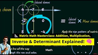 Matrix Math Masterclass 2 Discriminant Determinant 3 by 3 Inverse Matrix Explained [upl. by Assilanna850]