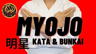 Shitoryu Kata MYOJO 明星 amp Bunkai explained by Japanese Karate Grand Master 10th Dan [upl. by Tem205]