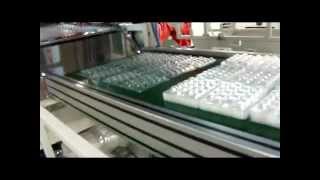 Plastic Container Thermoforming Stacking Machine [upl. by Resee]