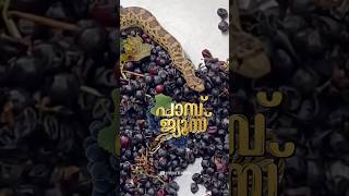 ഗ്രേപ്പ് ജ്യൂസിനൊക്കെ എന്താ ടേസ്റ്റ് 😂 Snake trapped on grape Juice Grinding Machine shorts snake [upl. by Elli]