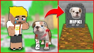 EFEKANIN KÖPEĞİ ÖLDÜ 😱  Minecraft ZENGİN FAKİR HAYATI [upl. by Romano]