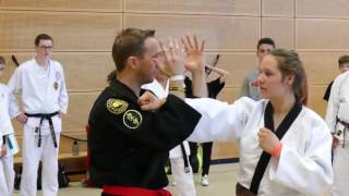 Martial Art Day 2017  Sensei CYRIL GUENET Seminar [upl. by Burris]