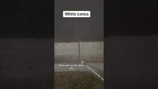 How do white canes work blind whitecane [upl. by Esinert851]