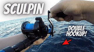 Best RIGS amp BAIT For Sculpin SURPRISE CATCHES amp LIMITS [upl. by Nawotna]