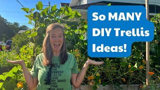 8 Easy DIY Trellis Ideas From Other Gardeners [upl. by Ardnovahs]