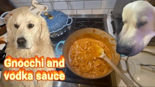 Gnocchi with Vodka Sauce beginner recipe [upl. by Edrick768]