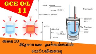 Heat Changes Associated with Chemical Reactions  Grade 11 Science  GCE OL Tamil Medium [upl. by Nivahb104]