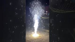 College wali diwali💥🎇 [upl. by Lupien]