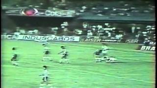 Fluminense X Bragantino 1991avi [upl. by Eire]