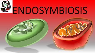 ENDOSYMBIOSIS [upl. by Dobbins]