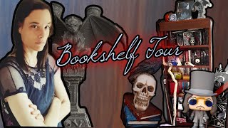 Bookshelf Tour I 📚 [upl. by Aneehsal417]