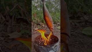 Single mom show SMART idea for survival in forest camping outdoor bushcraft lifehacks [upl. by Acinahs]