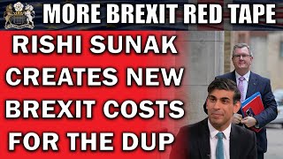 Sunak Creates New Brexit Cost to Appease DUP [upl. by Ekusuy]