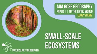 Smallscale Ecosystems  AQA GCSE Geography  Ecosystems 3 [upl. by Anairb]