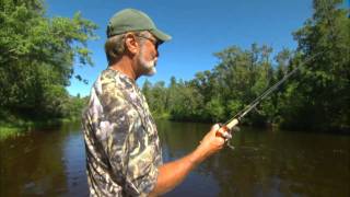 The Fun of Topwater River Musky Fishing [upl. by Thea969]