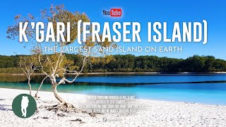 Australia Nature Documentary 4K  K’gari Fraser Island  Wildlife and Natural History [upl. by Ahsiatal]