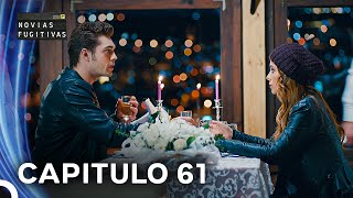 Novias Fugitivas Capitulo 61 Doblado en Español [upl. by Einnhoj]