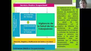 Importancia e Implementacion De Programas Medicos [upl. by Alamak]