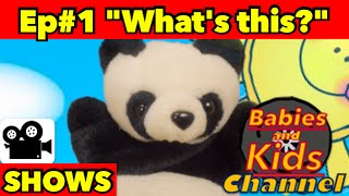 MRPANDA SHOW EPISODE 1  quotWhats thisquot  Babies and Kids Channel  for children and toddlers [upl. by Nnairrehs]