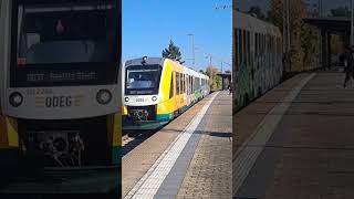 Ausfahrt von RB37 nach Beelitz Stadt in Michendorf [upl. by Anaujit867]