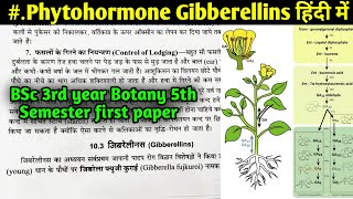 Gibberellins function and Mode of Action in Hindi  BSc 3rd year Zoology 5th Semester 1st Paper [upl. by Magel602]