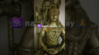 Shiv bhakt lordshiva youtubeshorts omnamahshivaya smartcityaligarh 14mayneetusingh [upl. by Berry]