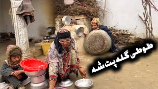 Tuti Gulla Pat Sha Pashto New Funny Video 2024 by Tuti Gull Vines [upl. by Erena]