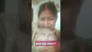 Teri palko peytshortvirl bollywood hindisong 🐈💖 [upl. by Odnalra]