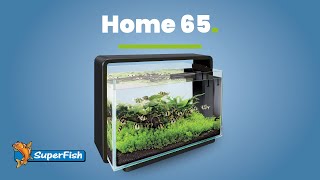 Superfish Home 65  Aquascaping [upl. by Ninel]