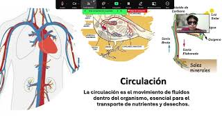 biologiavideo 1 1 grupo 2 [upl. by Assiled]