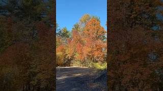 My New Hampshire property in the fall time [upl. by Delly568]