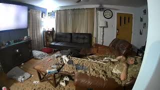 Ceiling Drywall Collapses on Man and Dog Watching TV on the Couch  1345759 [upl. by Nalad693]