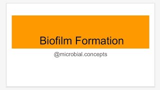 Biofilm BIOFILM FORMATION  Microbiology [upl. by Fredia]