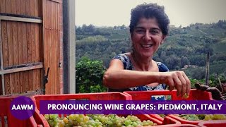 How to Pronounce Grapes of Piedmont Arneis to Nebbiolo [upl. by Ardnassak]