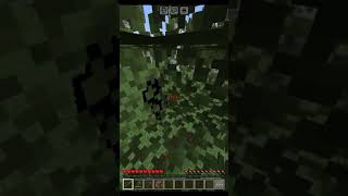 Black king epic fight PlayerinMinecraft12 fonkmusic [upl. by Zackariah]