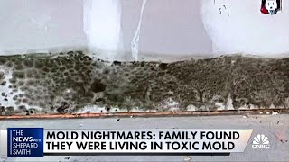 Toxic mold devastates family causes myriad health problems [upl. by Westney]