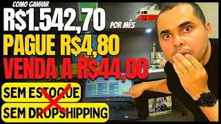 RENDA EXTRA SEM ESTOQUE Pague R481 venda a R4400 Sem Shopee nem MercadoLivre e sem DropShipping [upl. by Vladamir]