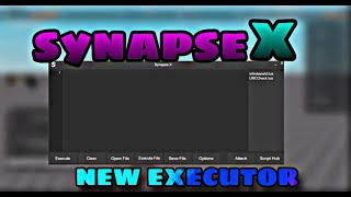 HOW TO DOWNLOAD THE LATEST SYNAPSE XIT IS WORKINGEXECUTOR ROBLOX 2024 [upl. by Owen320]