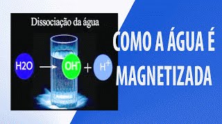 COMO FUNCIONA  A Magnetizada pelo Sylocimol  FUNCIONACOMPROVADO [upl. by Llorre]