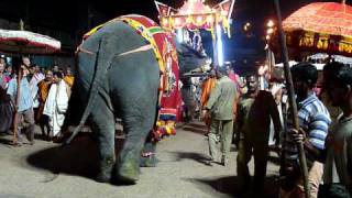 Elephant amp Cart Parade Sri Krishna Math Udupi India [upl. by Htebazil]