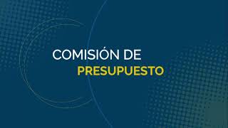 COMISIÓN DE PRESUPUESTO [upl. by Nawak]