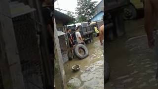 Penangkapan Buaya Setelah Banjir Bikin Heboh [upl. by Bartolome]