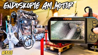 Motor prüfen mit der Kamera  Wer braucht Blech   Vevor Kamera  Temu Tools am Start  vlog 365 [upl. by Porter]