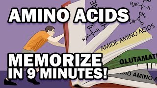 Memorize the 20 Amino Acids in 9 Minutes [upl. by Munro]