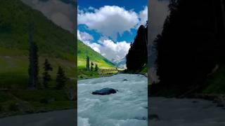 Beauty Of Kashmir Valley  Kashmir  Beauty  kashmir river nature beauty fyp [upl. by Yelserp]